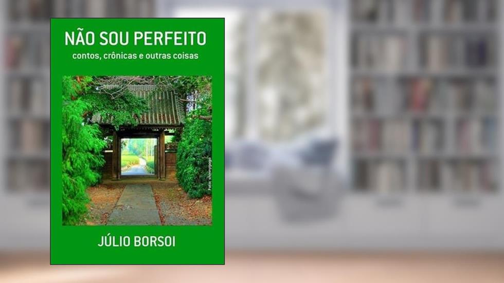 Nao Sou Perfeito, do autor Júlio Borsoi