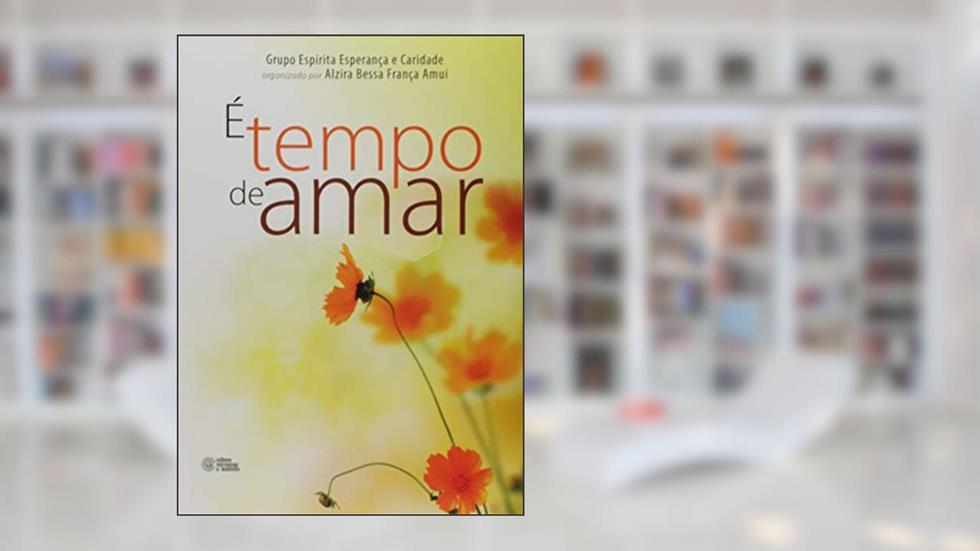 É Tempo de Amar, do autor Alzira Bessa França Amui