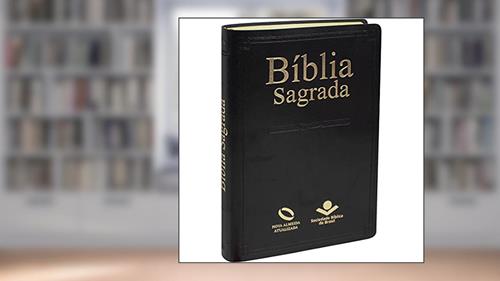 Capa de Bíblia Sagrada Nova Almeida Atualizada - Capa couro sintético preta: Nova Almeida Atualizada (NAA), do autor Sociedade Bíblica do Brasil