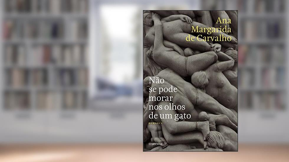 Não se Pode Morar nos Olhos de Um Gato, do autor Ana Margarida de Carvalho