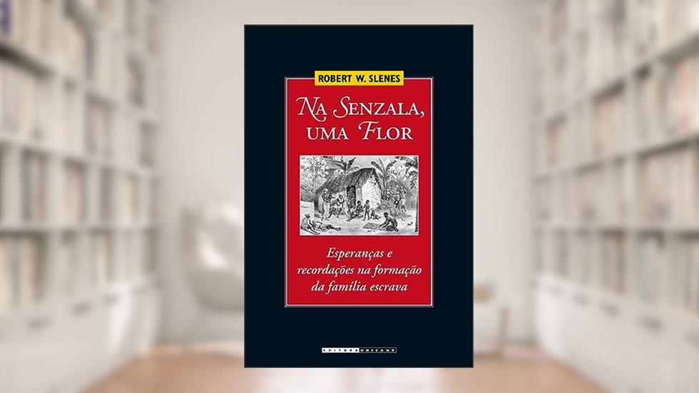 Na senzala, uma flor, do autor Robert W. Slenes