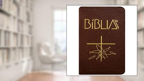 Capa de Bíblia de Aparecida - Bolso zíper marrom, do autor Editora Santuário