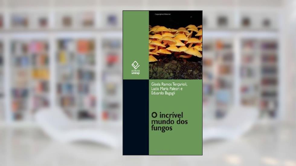 Alusão E Zombaria : Considerações Sobre Citações E Referências Na Ficção De Machado De Assis.-- ( Papéis Avulsos ; 44 ), do autor Marta De - Senna