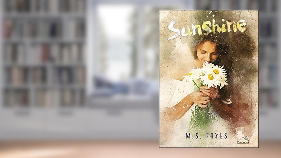 Sunshine (Irmãos Walker Livro 2), do autor M.S. Fayes
