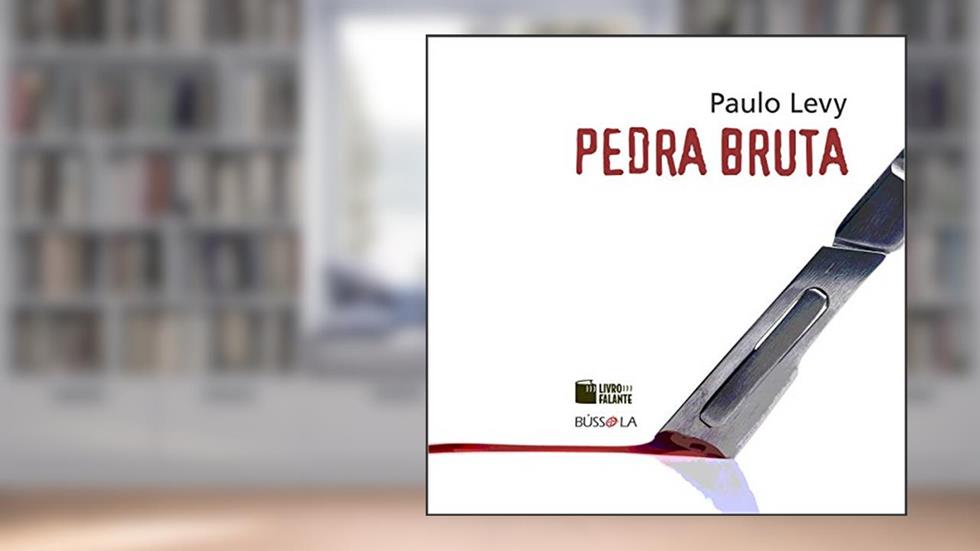Pedra bruta, do autor Paulo Levy