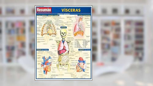 Capa de Vísceras, do autor Cláudio Scalzite; Flávio Barros Pinto