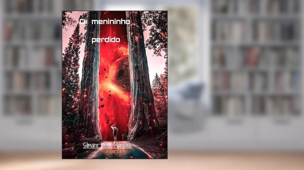O Menininho perdido, do autor Silmara Retti Marques Rocha