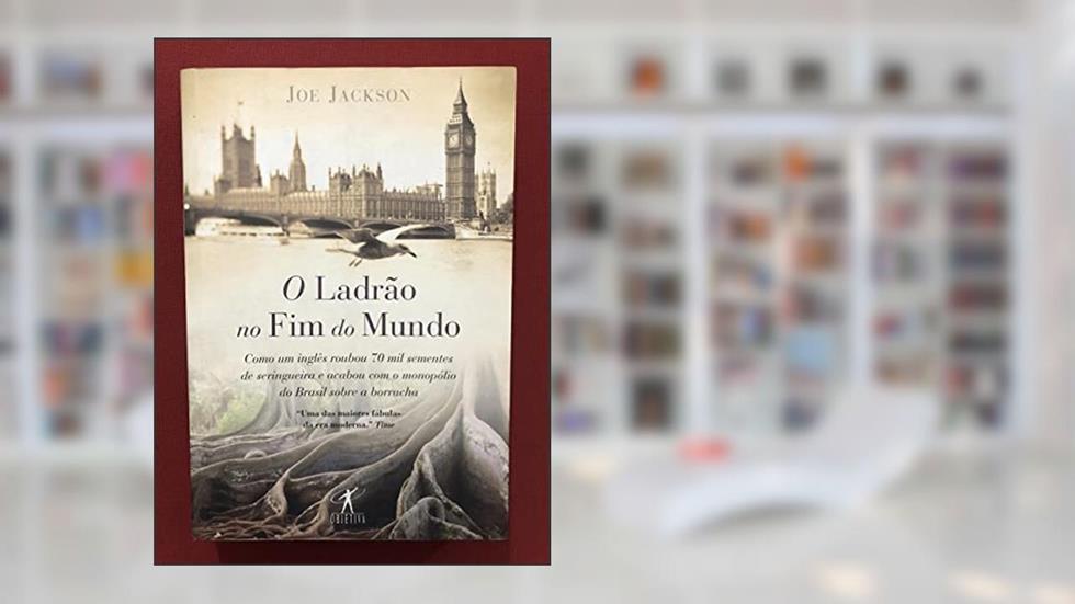 O ladrão no fim do mundo, do autor Joe Jackson