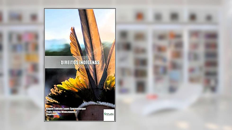 DIREITOS INDÍGENAS (Direitos para todos Livro 3), do autor Raquel Fabiana Sparemberger; Thaís Janaína  Wenczenovicz
