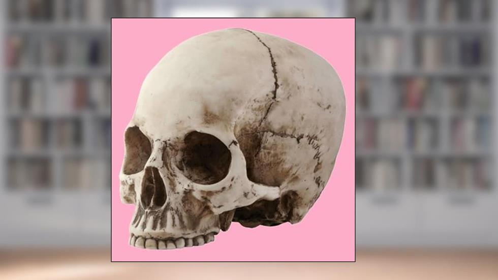 Esqueletos no Armário, do autor @esqueletosgays