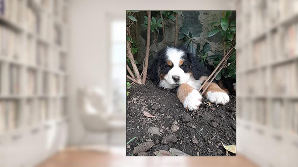 como trinar seu cachorrinho, do autor giovani trindade