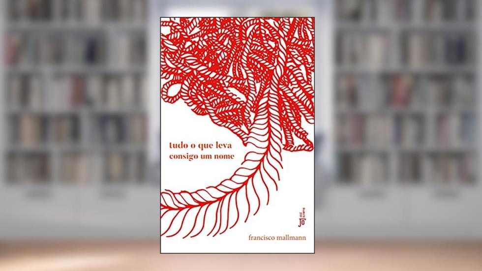 Tudo o que leva consigo um nome, do autor Francisco Mallmann