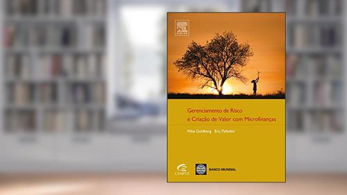 Capa de Gerenciamento de Risco e Criação de Valor com Microfinanças, do autor Michael Goldberg; Eric Palladini