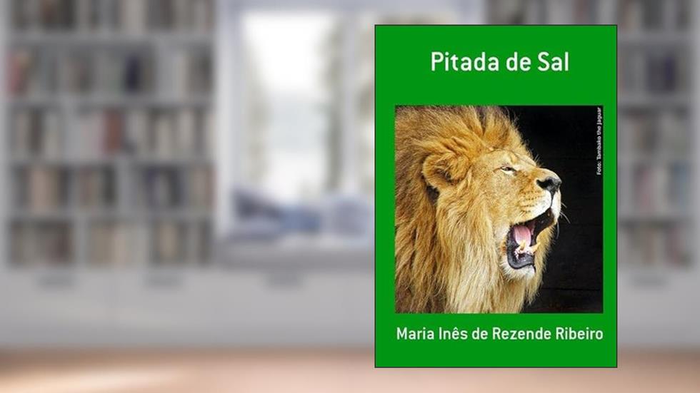 Pitada de Sal, do autor Maria Inês De Rezende Ribeiro