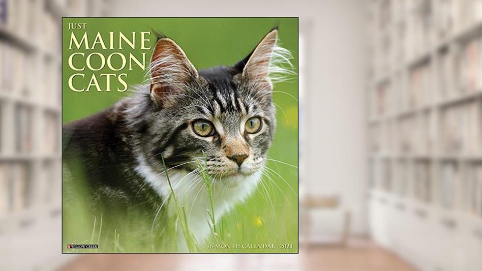 Sim-Sim, o Pernilongo Vermelho, do autor Nucci