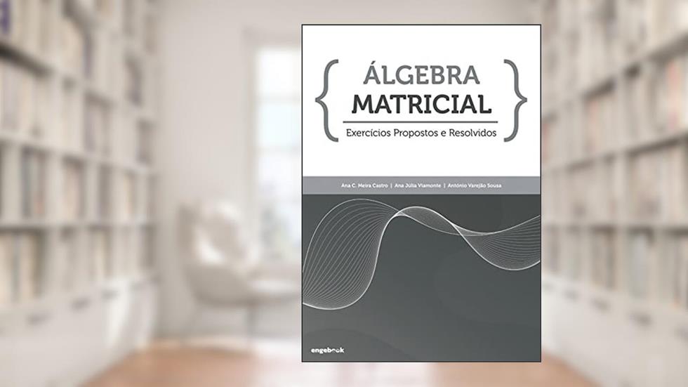 Álgebra Matricial - Exercícios Propostos e Resolvidos, do autor Ana Júlia Viamonte; ana Cristina Meira Da Silva E Castro; antónio Augusto Varejão Teixeira De Sousa