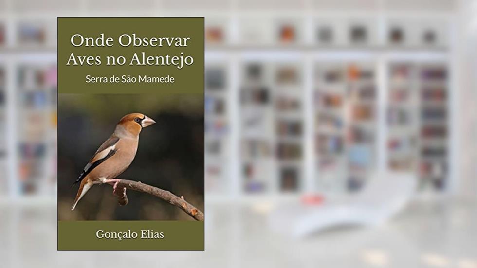 Onde Observar Aves no Alentejo: Serra de São Mamede, do autor Gonçalo Elias
