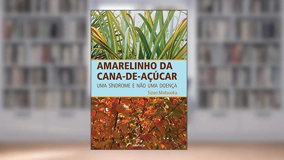 Amarelinho da cana-de-açúcar: uma síndrome e não uma doença, do autor Sizuo Matsuoka