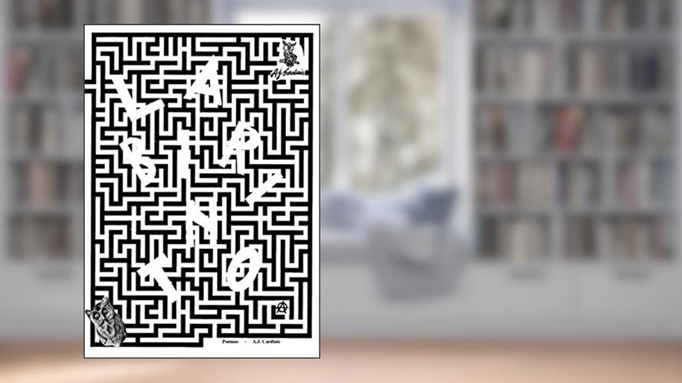 Labirinto, do autor A.J. Cardiais