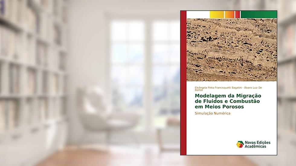 Modelagem da Migração de Fluidos e Combustão em Meios Porosos: Simulação Numérica, do autor Pinto Francisquetti Bagatini Elisângela; De Bortoli Álvaro Luiz