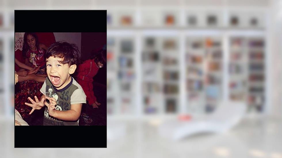 Peraltices do Pedrinho, do autor Neide Alfinete