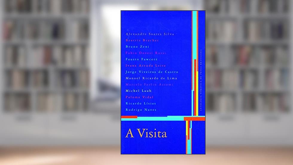 A visita, do autor Alexandre Soares Silva; Beatriz Bracher