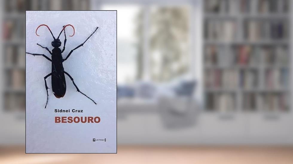 Besouro, do autor Sidnei Cruz