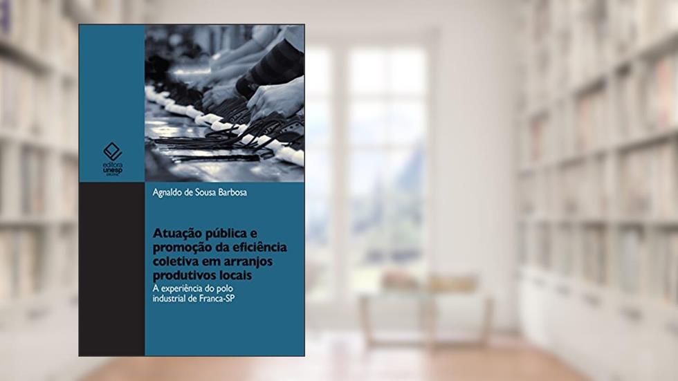 Atuação pública e promoção da eficiência coletiva em arranjos produtivos locais, do autor Agnaldo de Sousa Barbosa