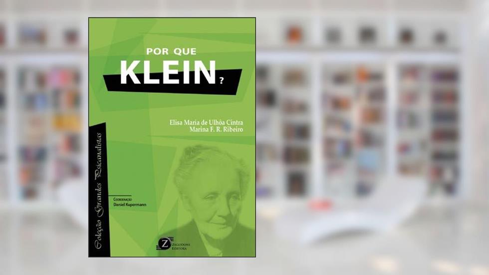 Por que Klein?, do autor Elisa Maria De Ulhôa Cintra