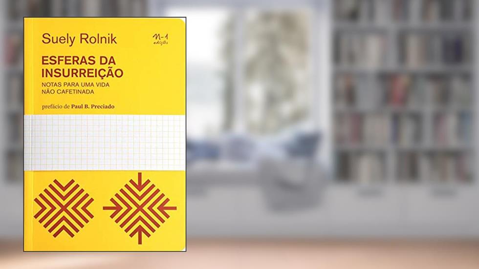 Esferas da insurreição: notas para uma vida não cafetinada, do autor Suely Rolnik