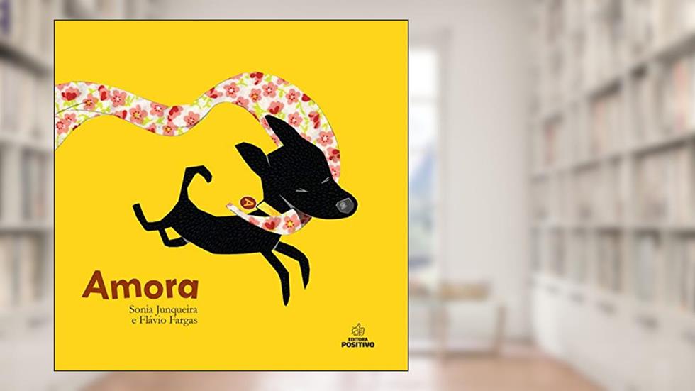 Amora, do autor Sonia Junqueira