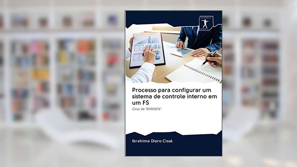 Processo para configurar um sistema de controle interno em um FS: Caso de "BEREBEN"., do autor Ibrahima Dioro Cissé