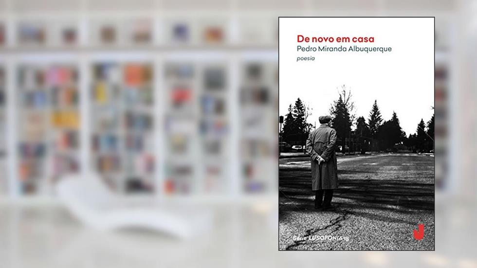 De novo em casa, do autor Pedro Miranda Albuquerque