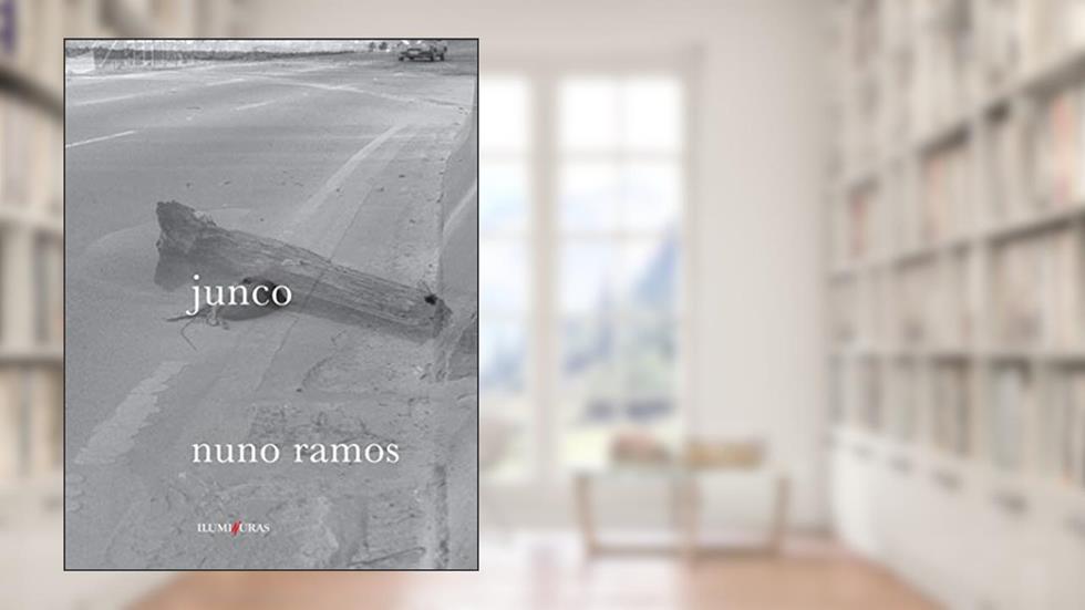Junco, do autor Nuno Ramos