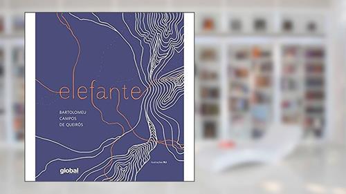 Capa de Elefante, do autor Bartolomeu Campos de Queirós