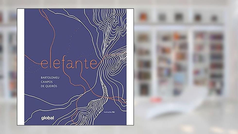 Elefante, do autor Bartolomeu Campos de Queirós
