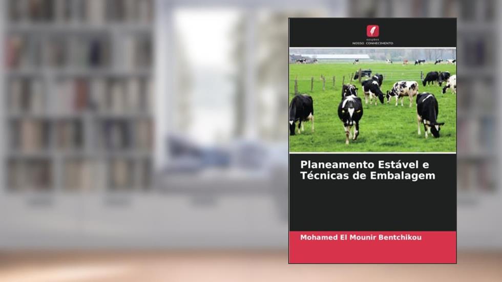 Planeamento Estável e Técnicas de Embalagem, do autor Mohamed El Mounir Bentchikou