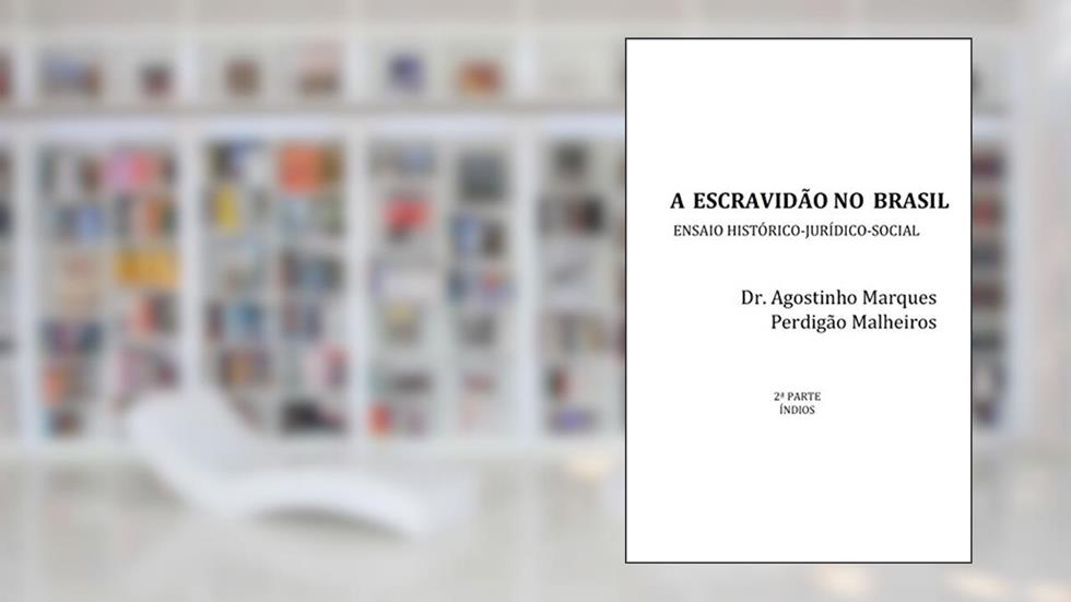 A escravidão no Brasil: ensaio histórico-jurídico-social, Parte 2 - Índios, do autor Agostinho Marques Perdigão Malheiros
