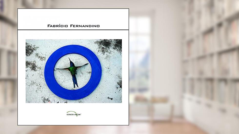 Fabrício Fernandino: Depoimento, do autor Fabrício Fernandino