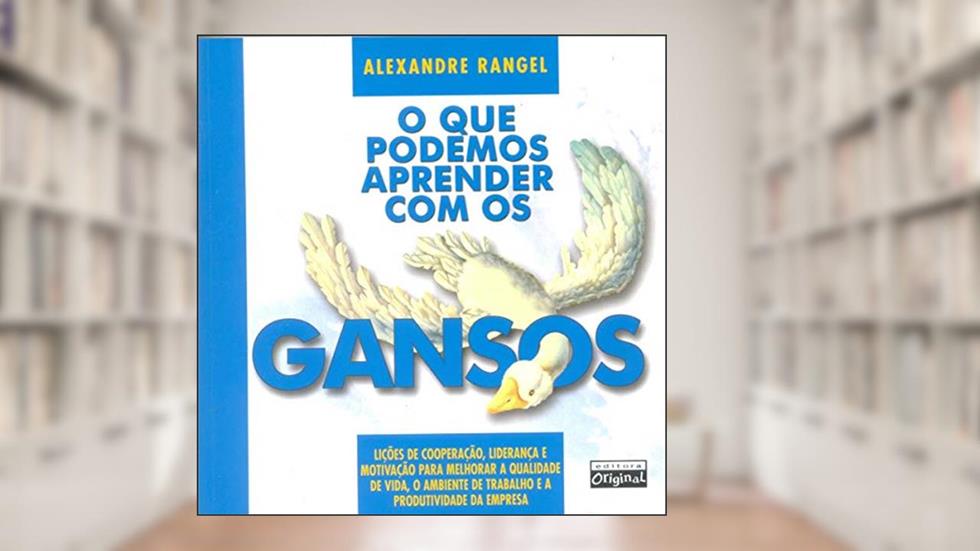 O que podemos aprender com os gansos, do autor Alexandre Rangel