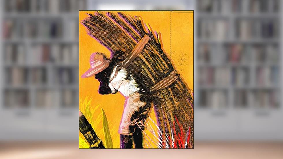 Ciclo da cana de açucar, do autor José Lins do Rego