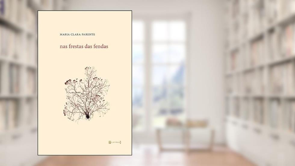 Nas Frestas das Fendas, do autor Maria Clara Parente