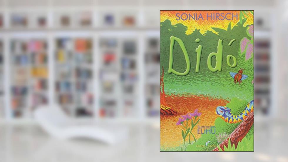 Didó O Curandeiro, do autor Sonia Hirsch