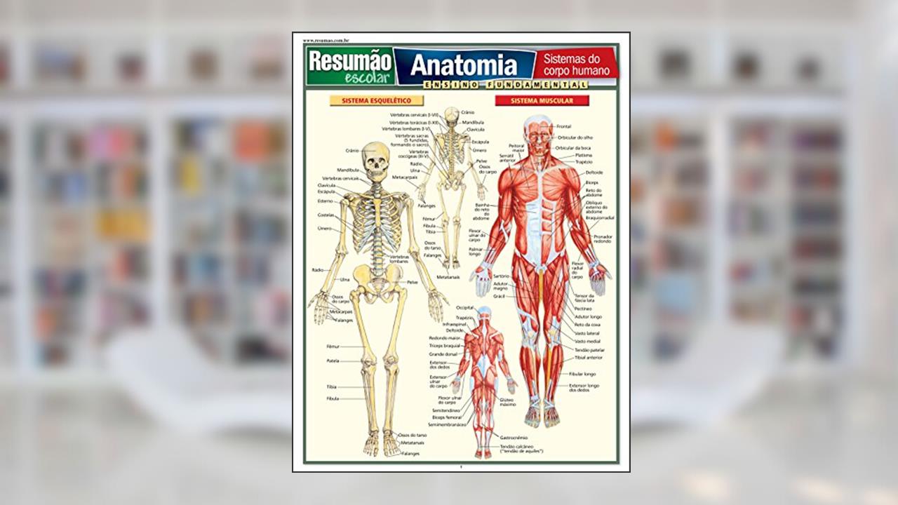 Anatomia, do autor Vicent Perez