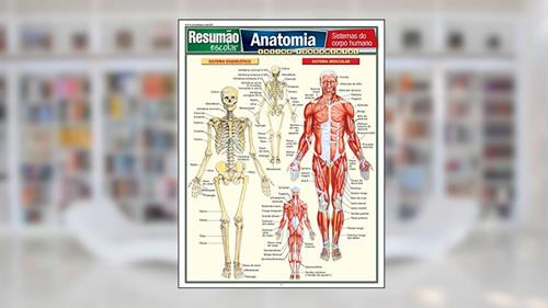 Capa de Anatomia, do autor Vicent Perez
