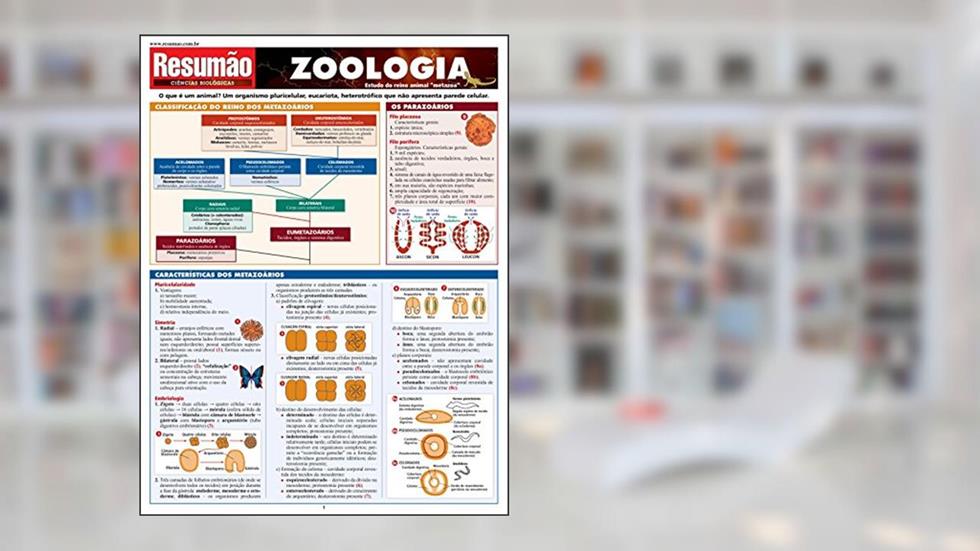 Zoologia, do autor Randy Brooks