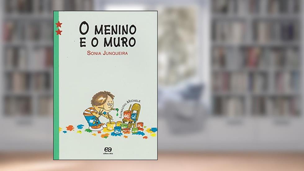 O menino e o muro, do autor Sônia Junqueira