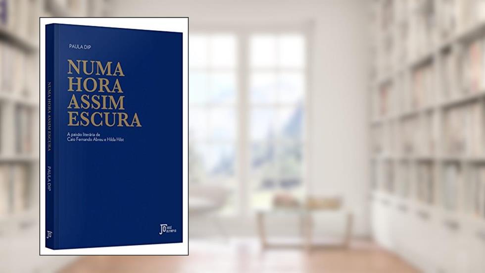 Numa hora assim escura, do autor Paula Dip