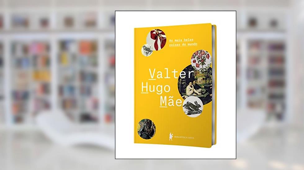 As mais belas coisas do mundo, do autor Valter Hugo Mãe