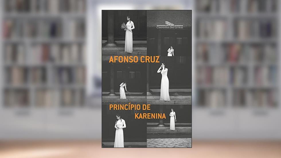 Princípio de Karenina, do autor Afonso Cruz